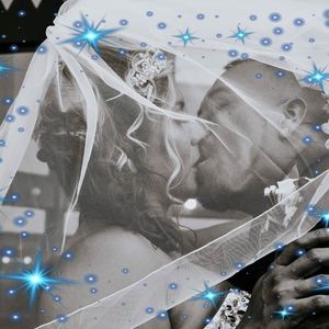 Meet your Posher, Rose